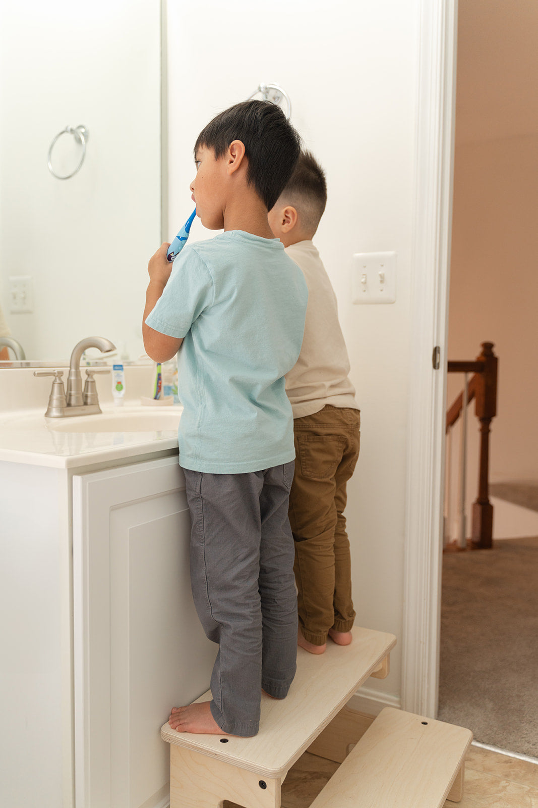 *NEW* The Double Step Stool