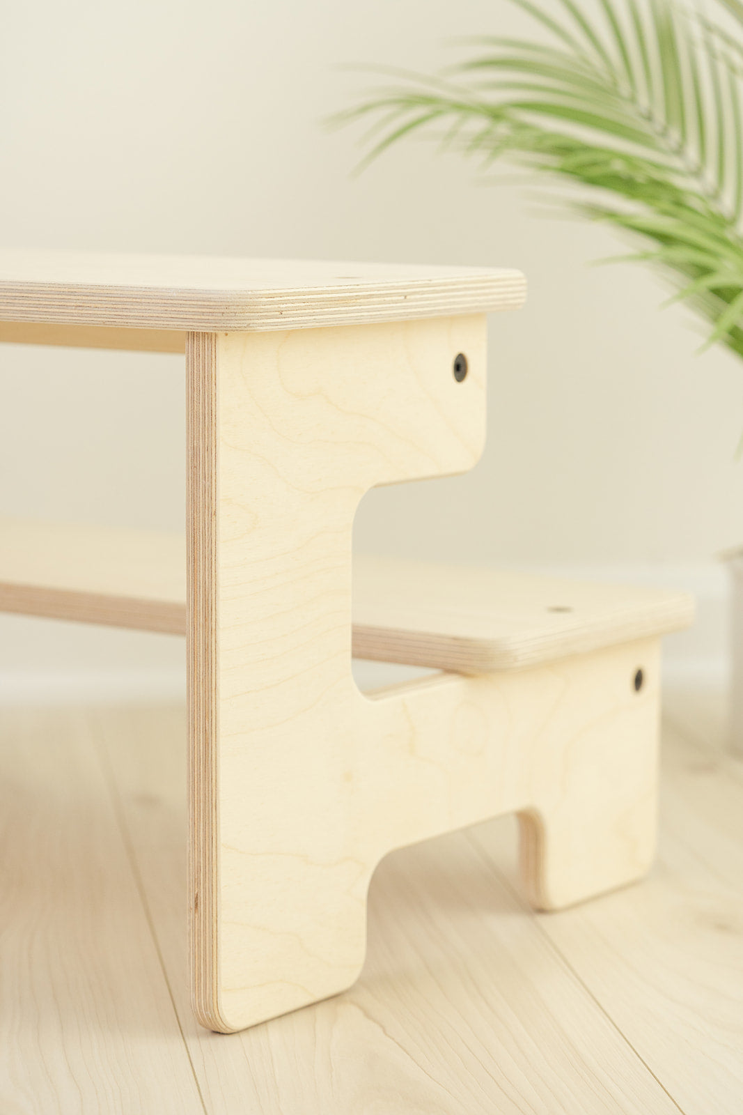*NEW* The Double Step Stool