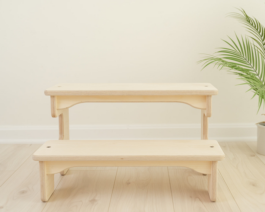 The Double Step Stool